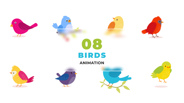 Animated Colorful Birds Template