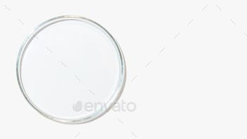 Top view of an empty petri dish on a white background