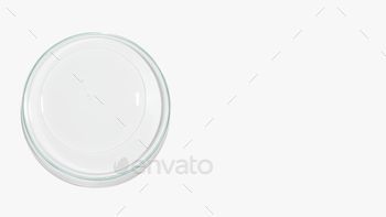 Top view of transparent gel on petri dish on white background