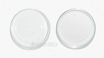 Top view of transparent frozen gels on petri dish on white background