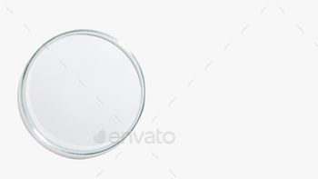 Top view of an empty petri dish on a white background