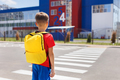 A boy, a schoolboy with a backpack goes to school. Crosses the road at a pedestrian crossing. - PhotoDune Item for Sale