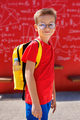 Boy with glasses and a backpack holds a book in his hands against the background of a modern school. - PhotoDune Item for Sale