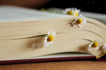 Flowers blooming between pages