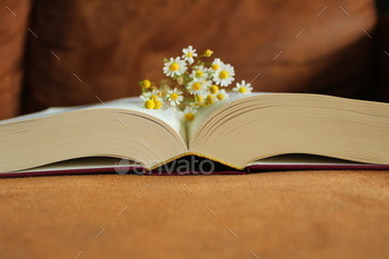 Flowers blooming between pages