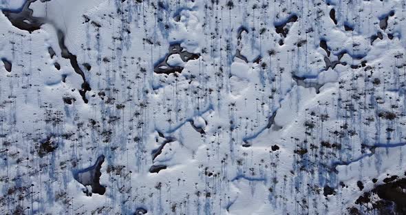 Top Down Video of a Snowy Bog Swamp Wetland Texture Bog Fields Filled with Water