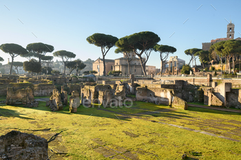 Ruins in the Roman Forum