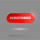 Youtube Subscribe Icons - VideoHive Item for Sale