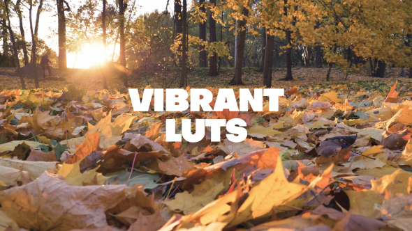 Vibrant LUTs alt