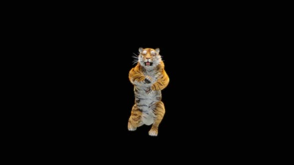 76 Tiger Standing Magic Attack HD