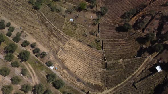 downward flight shows the enormous viticulture on the flanks of a valley with the small village at t