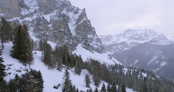 Forward Aerial Over Woods Forest with Snowy Mountain