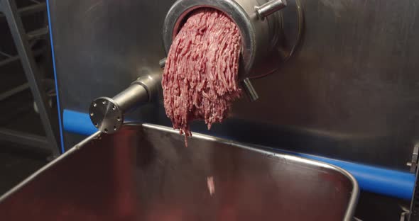 Twisted Minced Meat Comes Out Of The Meat Grinder