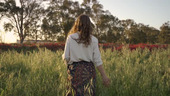 Walking through a blooming field