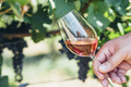 Wine tasting in outdoor winery. - PhotoDune Item for Sale