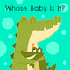 Whose baby is it - HTML5 Game, Construct 3 - CodeCanyon Item for Sale