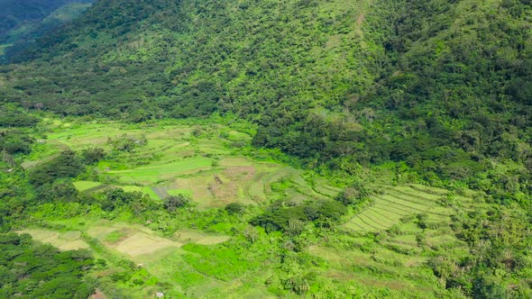 Rice Terrace in Cordillera Mountains, Luzon, Philippines