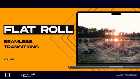 Flat Roll Transitions Vol. 05 alt