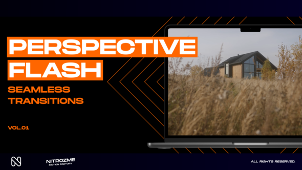 Perspective Flash Transitions Vol. 01 alt