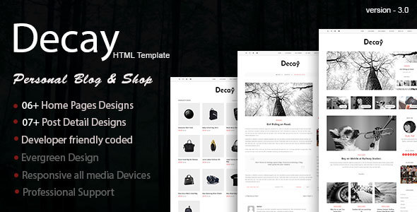 Decay Modern Personal Blog HTML Responsive Template