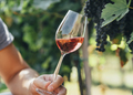 Wine tasting in outdoor winery. - PhotoDune Item for Sale