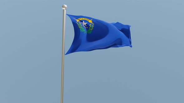 Nevada flag on flagpole.