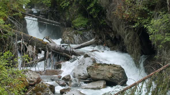 Fallen Trees and Alpine Forest River Near Grawa Waterfall in Stubai Austria