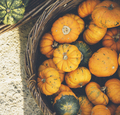 Autumn pumpkins on farm market from above. - PhotoDune Item for Sale