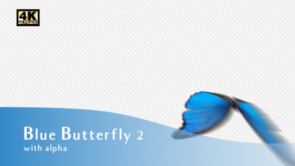 Blue Butterfly V2