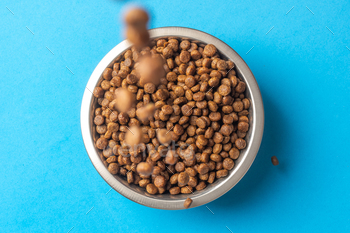 lue background. Feeding cats and dogs with granulated dry food. Pellets of healthy food for dogs and cats. Healthy diet food for pets