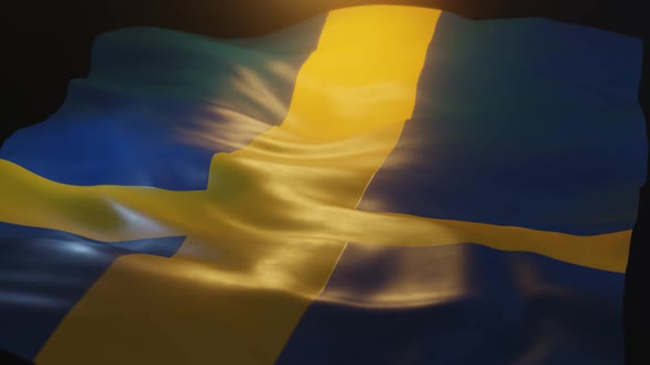 Sweden Flag Low Angle View