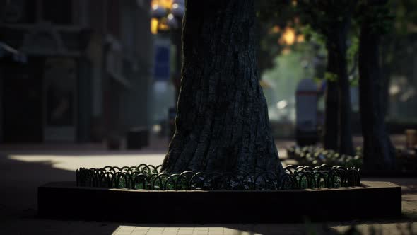 Lockdown Coronavirus Covid19 Empty Streets alt