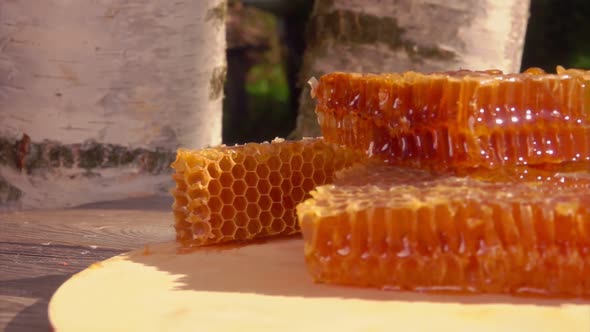 Panorama of the Fresh Honeycomb Pieces Laying the Table on a Sunny Summer Day