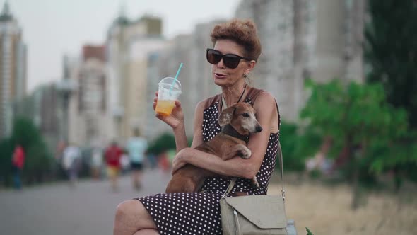 Summer Vacation of Lonely Elderly Woman and Her Dog Friend Among Passing Crowd People on Boardwalk