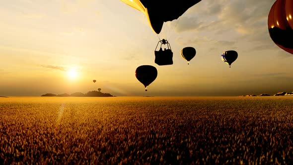 Hot Air Balloons Flying in Sunset Landscape
