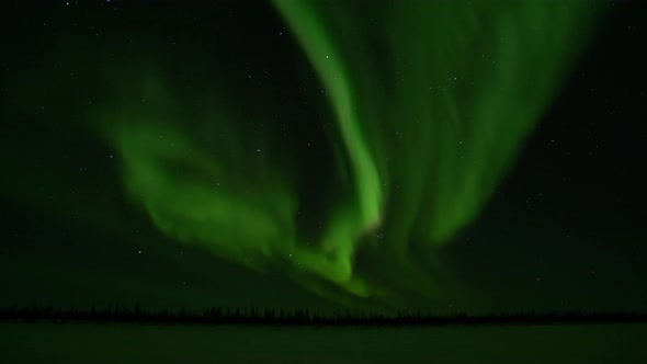 Northen lights over the winter forest