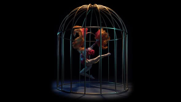 Acrobat Spinning on a Hoop in a Cage with Feathers in Their Hands. Black Background