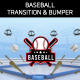 Baseball Logo Transition & Bumper - VideoHive Item for Sale