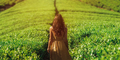 Woman Traveler in Front of Nature Background Tea Plantations Landscape - PhotoDune Item for Sale