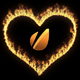 Love & Fire - VideoHive Item for Sale