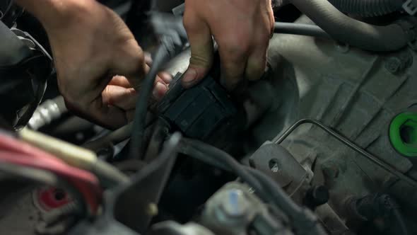 Man Withdrawing Detail From Car Engine