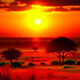 African Sunrise