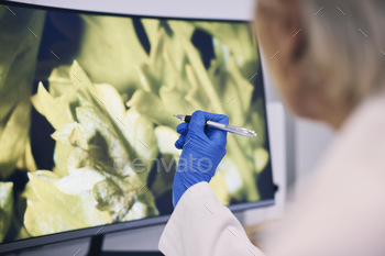 Science, hand and computer monitor in a laboratory for research, innovation or sustainability. Tech