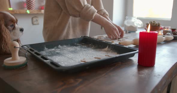 A Young Girl with Her Dog in the Kitchen Prepares Gingerbread Cookies for the Christmas Holidays and