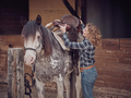 Woman putting on saddle on horse - PhotoDune Item for Sale