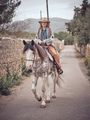 Woman riding horse in countryside - PhotoDune Item for Sale