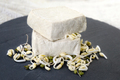 Raw tofu and bean sprouts from which we get the tofu. - PhotoDune Item for Sale