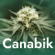 Canabik - Medical Marijuana WordPress Theme - ThemeForest Item for Sale