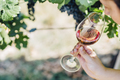 Wine tasting in outdoor winery.  - PhotoDune Item for Sale