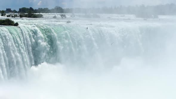 Niagara Falls with a Bird Flying in the Rising Mist near Brink of Waterfall, Handheld Slow Motion Sh